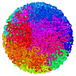 chromosomes shown as a fractal globule