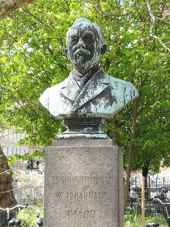 Bust of Wilhelm Johannsen at the Botanisk Laboratorium in Copenhagen