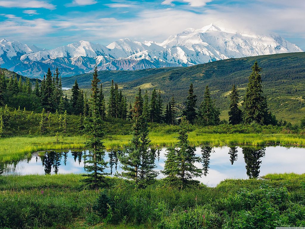 Mountains, meadows, trees