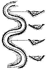 form of meandering in a stream